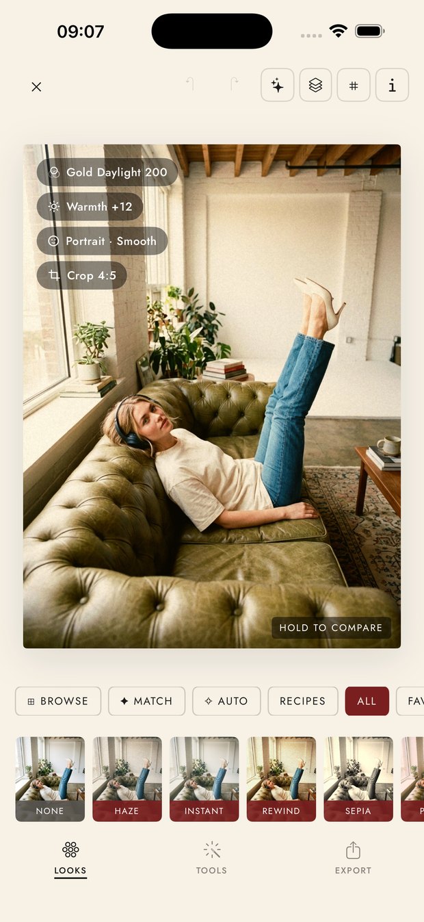 The Looks tab, with presets previewed on the photo